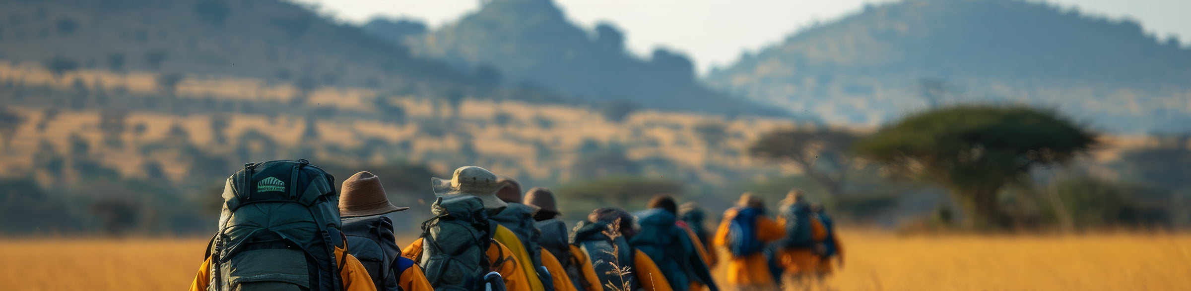 Group of people with backpacks walking through a savannah landscape.