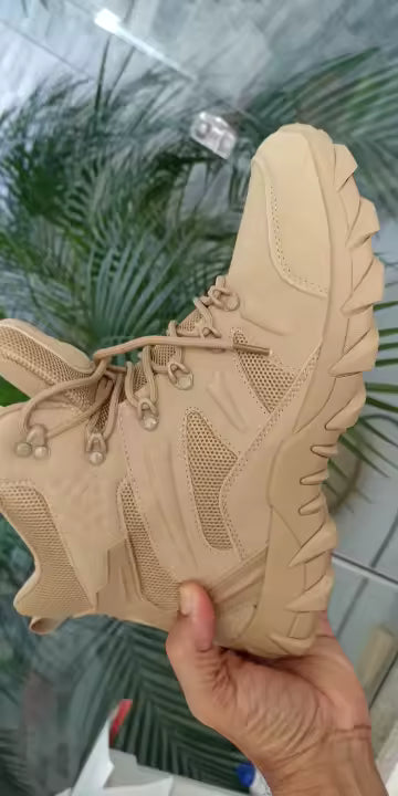 שי לוינשטיין