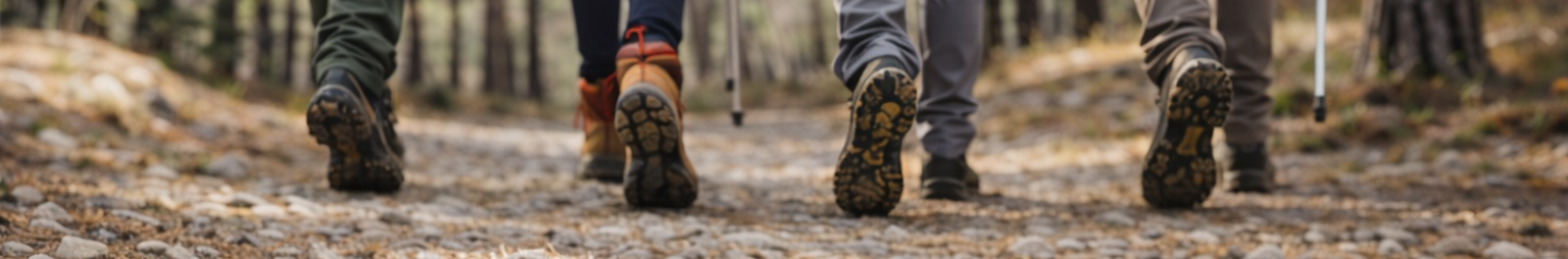 Hikers' feet wearing hiking boots on a trail in a forest