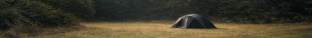 Tent in a grassy field with trees in the background